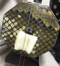 虫で二胡や弓が危ない