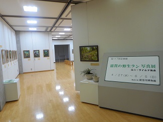 県内新発見のランも展示！「滋賀の野生ラン写真展」を開催中！