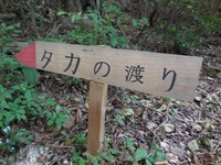 うれしい奇跡の連続！「猪子山探検隊～タカの渡り～」を開催しました！