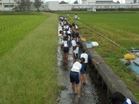 五個荘小学校4年生のみなさんと一緒に「水生生物調査」をしました！