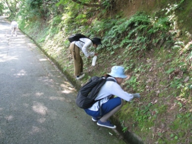 猪子山探検隊～夏のキノコ編～　実施しました