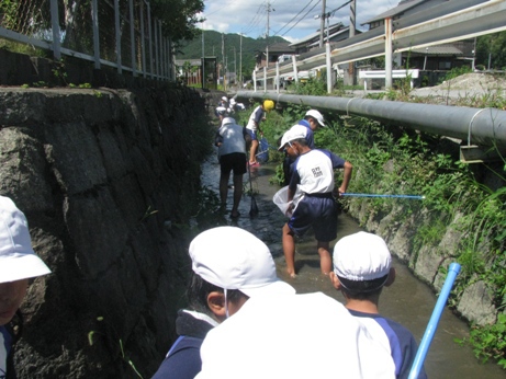 祝★2万アクセス突破♪そして、五個荘五個荘小学校4年生が「川の水質調査」を行いました！