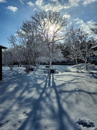 昨日の積雪状況です。