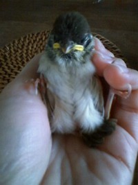 ゆる～くサンキュー・・・