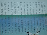 秋と夏の混在日