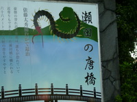 秋と夏の混在日