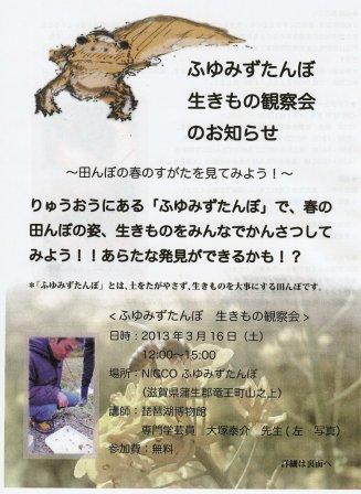 ふゆみずたんぼ　生きもの観察会のお知らせ
