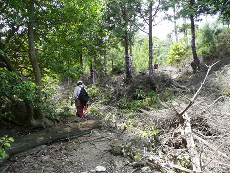 白鬚神社の三尾山