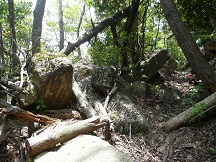 白鬚神社の三尾山