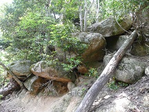 白鬚神社の三尾山