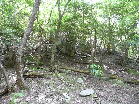 白鬚神社の三尾山