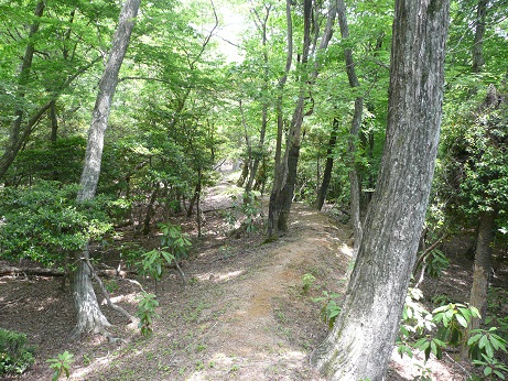 白鬚神社の三尾山