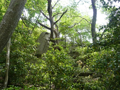 白鬚神社の三尾山