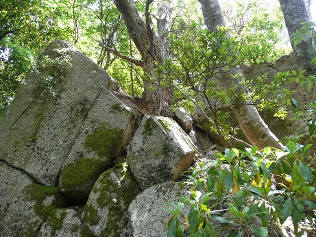 白鬚神社の三尾山