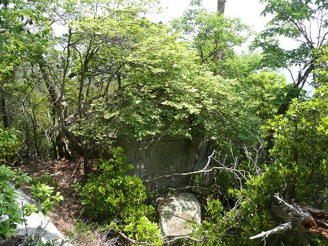 白鬚神社の三尾山