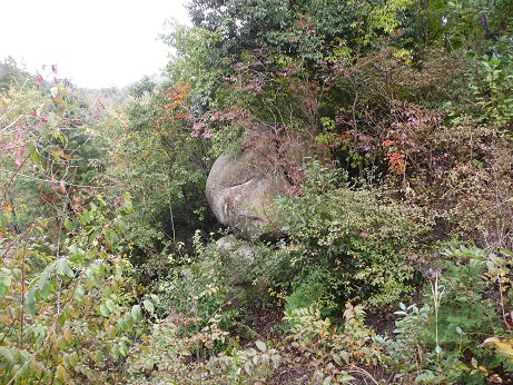 妙光寺山