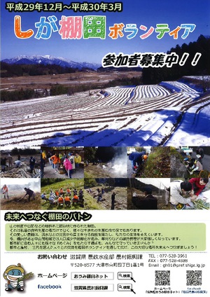 しが棚田ボランティア参加者募集！！