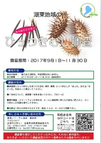 湖東地域の『ひっつきむし調査』