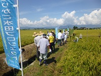びわ湖の日基金採択団体「せせらぎの郷　稲刈り体験へ参加」