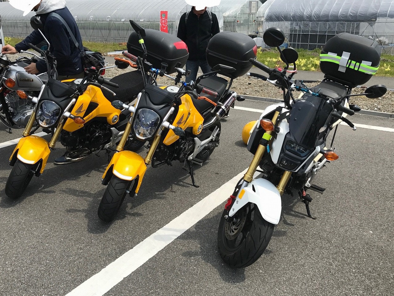 GROM