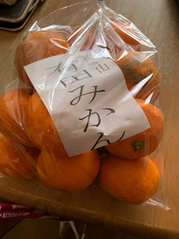 有田みかん