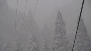 雪降り