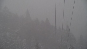 雪降り