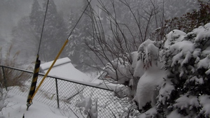 雪降り