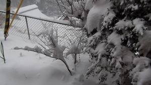 雪降り