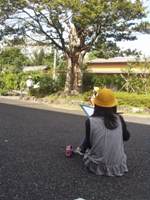 木はいいなあ