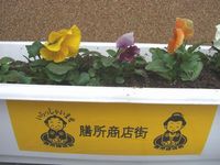おはようございます