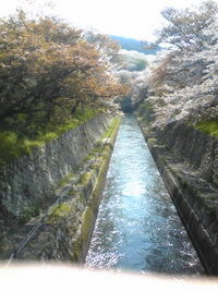 琵琶湖疏水