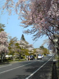 日吉大社