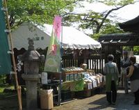 本日は