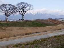 写真拡大