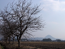 写真拡大