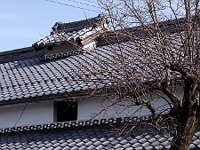 写真拡大