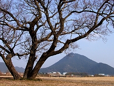 写真拡大