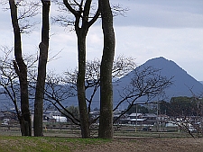 写真拡大
