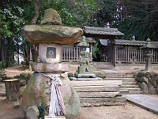 写真拡大