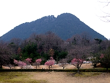 写真拡大