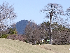 写真拡大