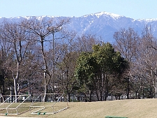 写真拡大