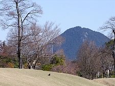 写真拡大