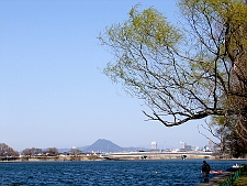 写真拡大