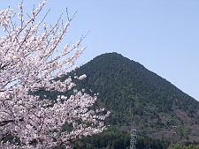 写真拡大