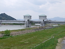 写真拡大