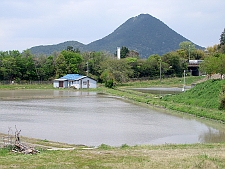 写真拡大