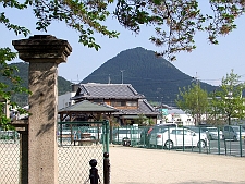 写真拡大