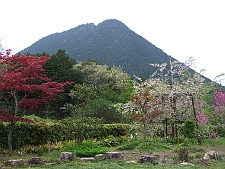 写真拡大